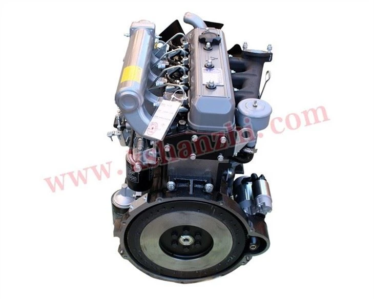 Forklift Parts A495 Engine Assembly, A495BPG-501TH